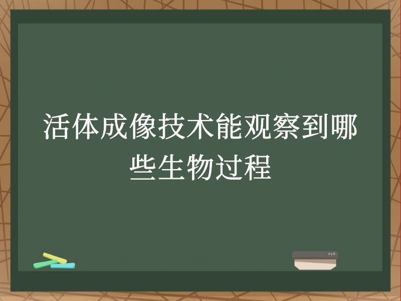 活体成像技术能观察到哪些生物过程